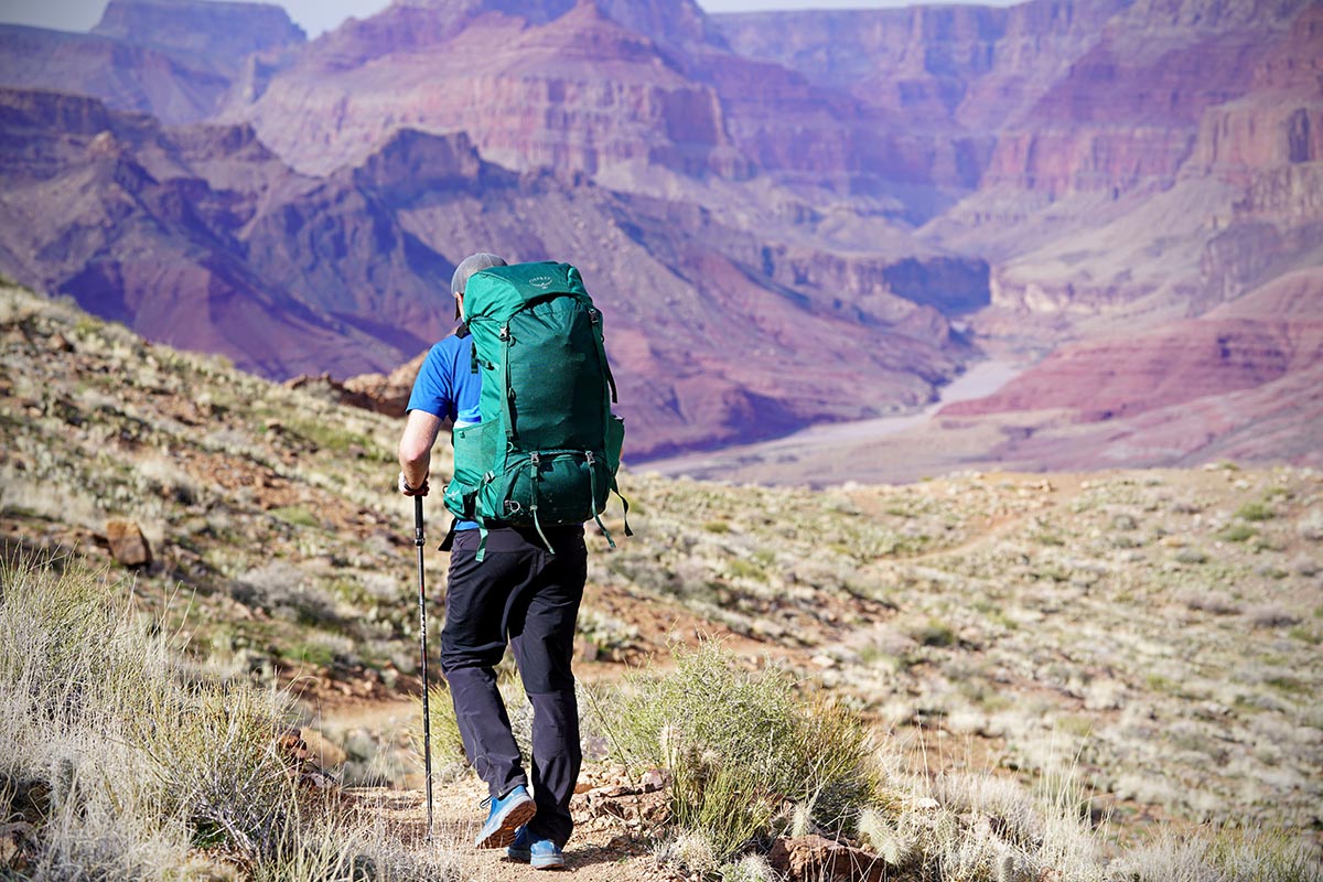 Rei hiking hot sale shorts mens